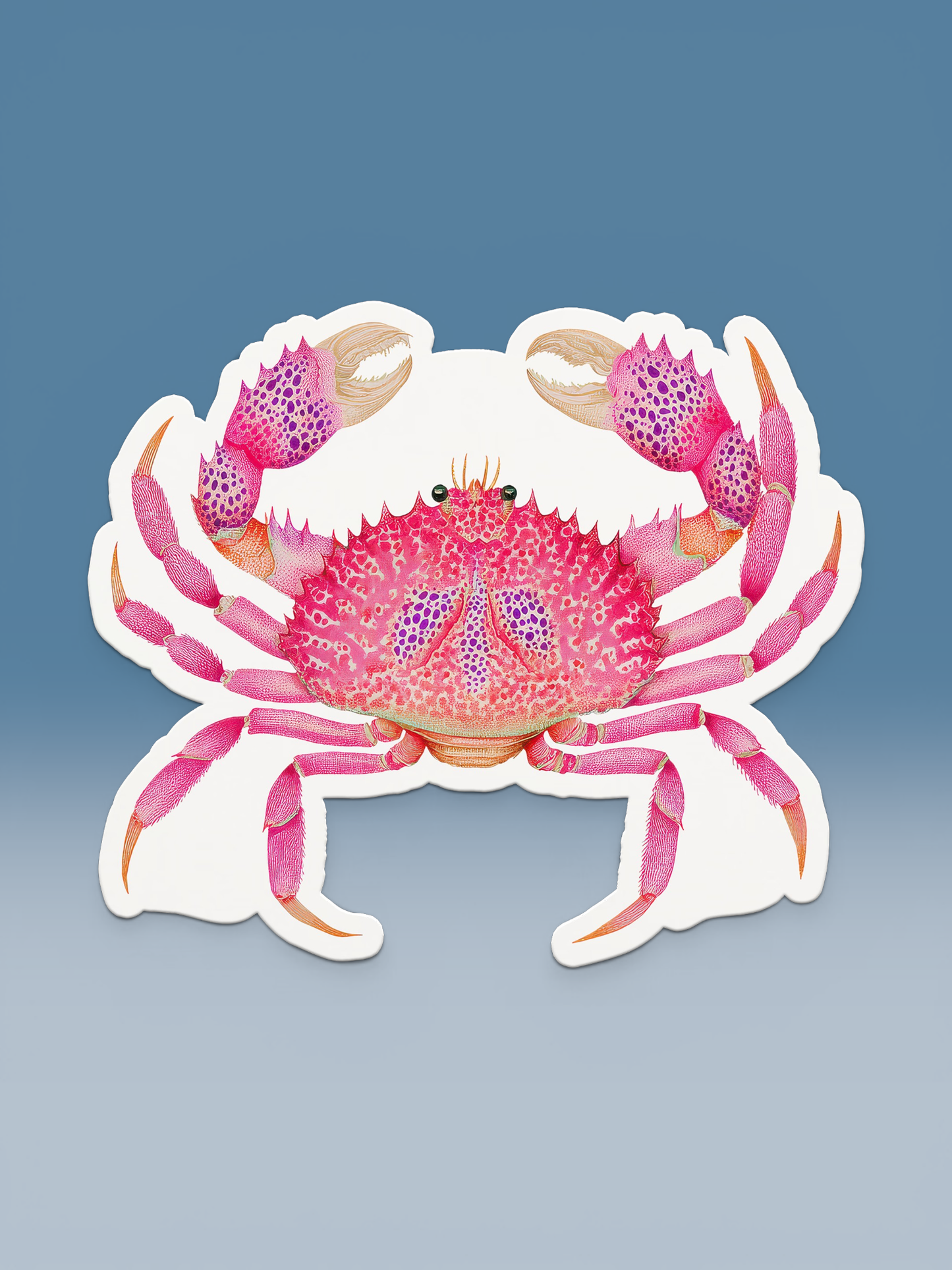 Pink Crab Seaside Coastal Postcards Stationery Notecards