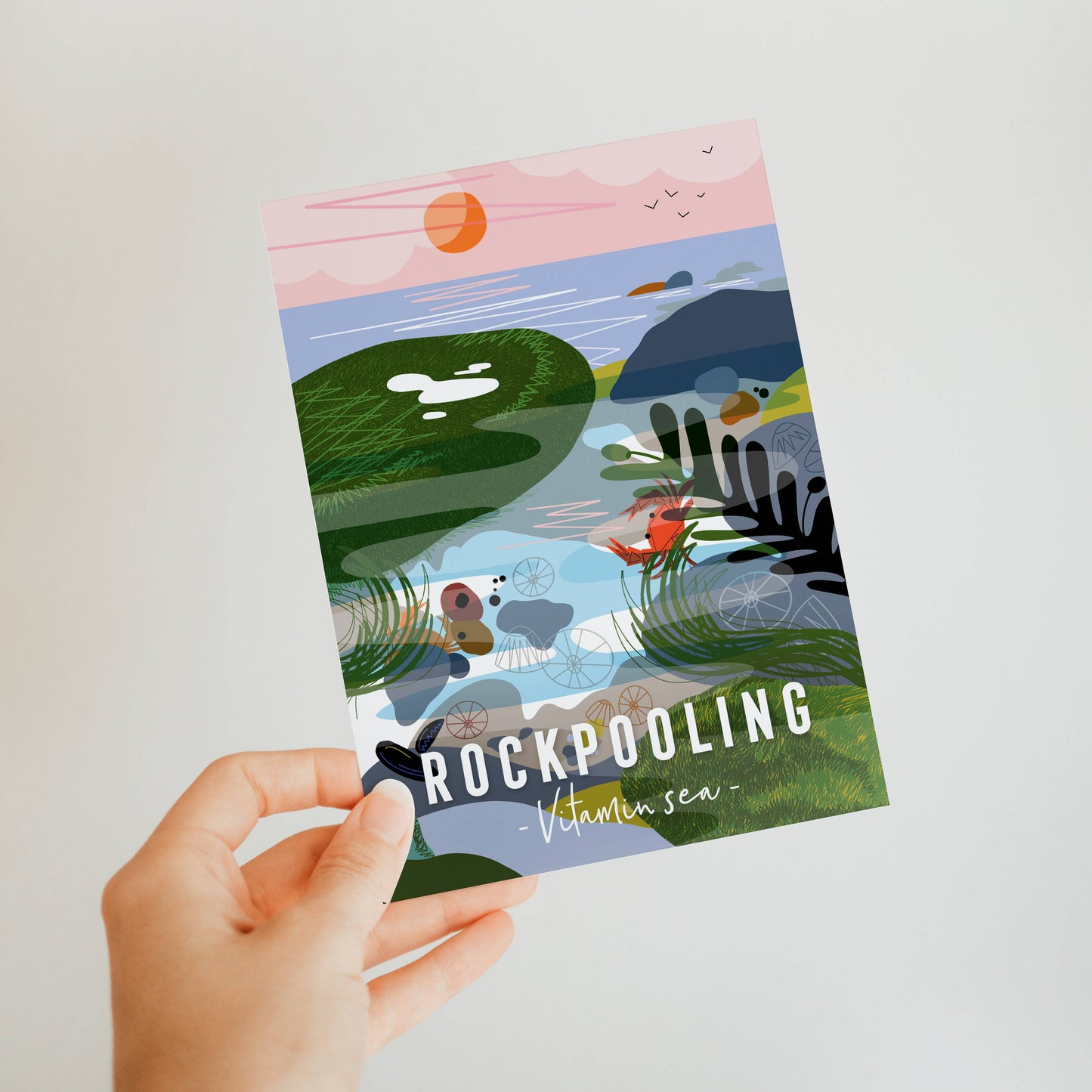 Onneke -  Rockpooling Coastal card seaside greeting card