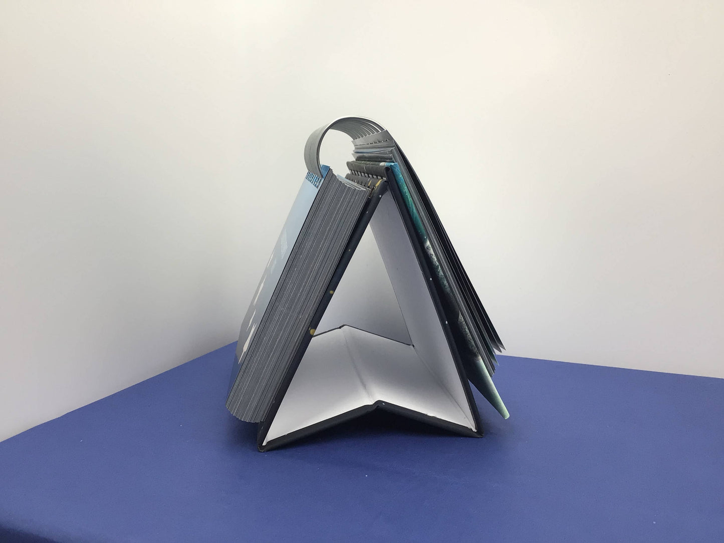 Fox Under The Moon - Thought For The Day: 366 Desktop Quotes - UNDATED