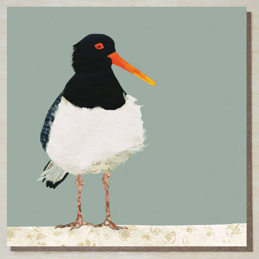 Windsock Press - Oystercatcher Card (British Birds)