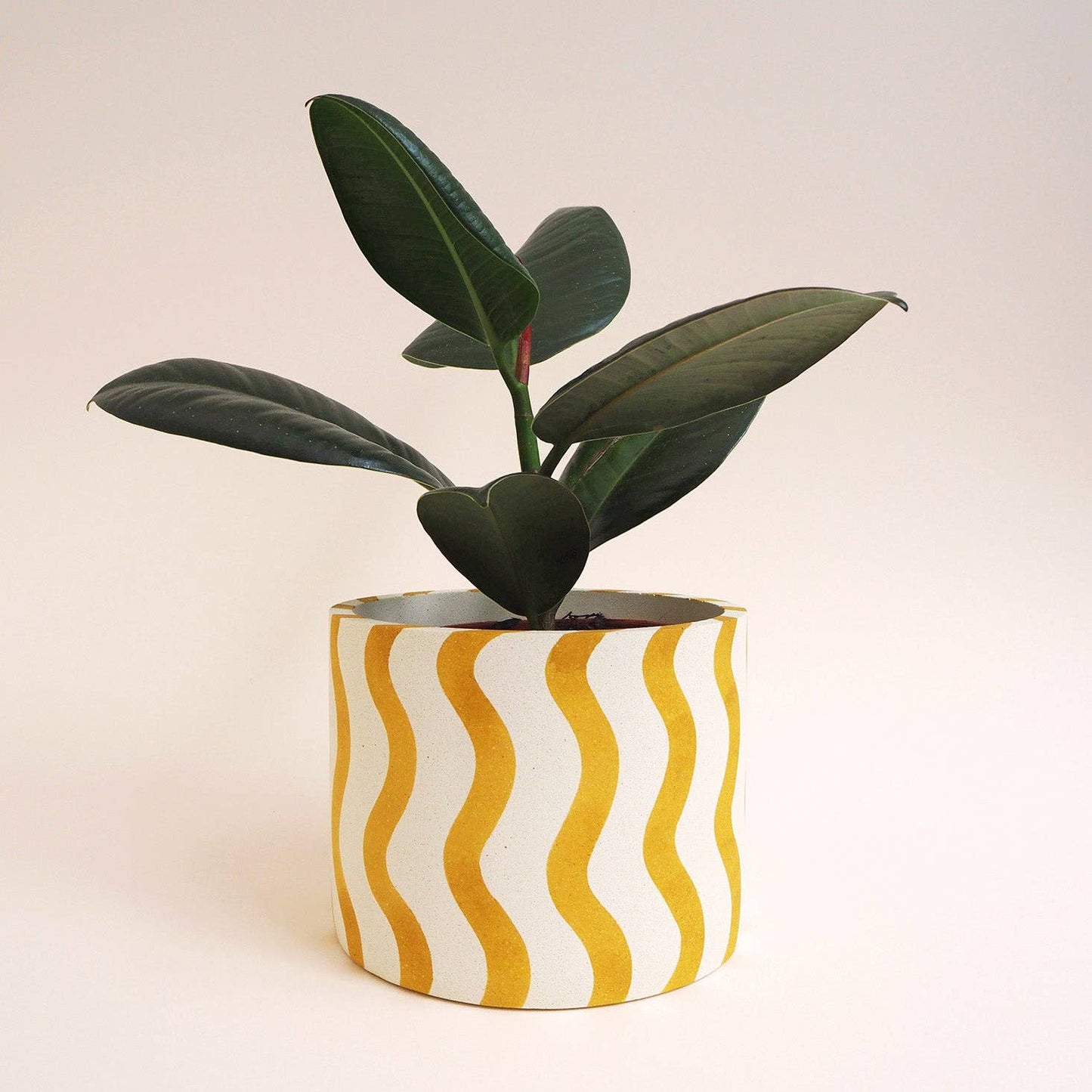 Hello Marilu Large Stripes or Squiggles Jesmonite Pot: Mint / Squiggles