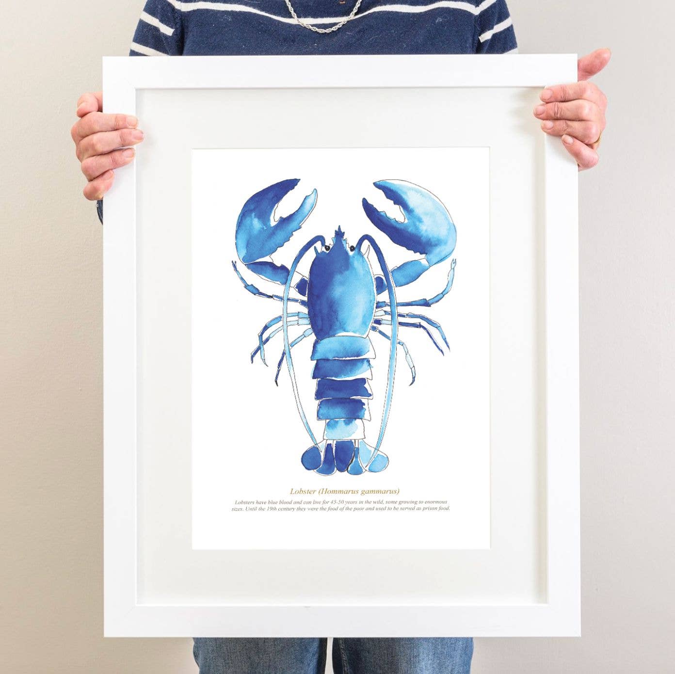 Lobster Watercolour Print