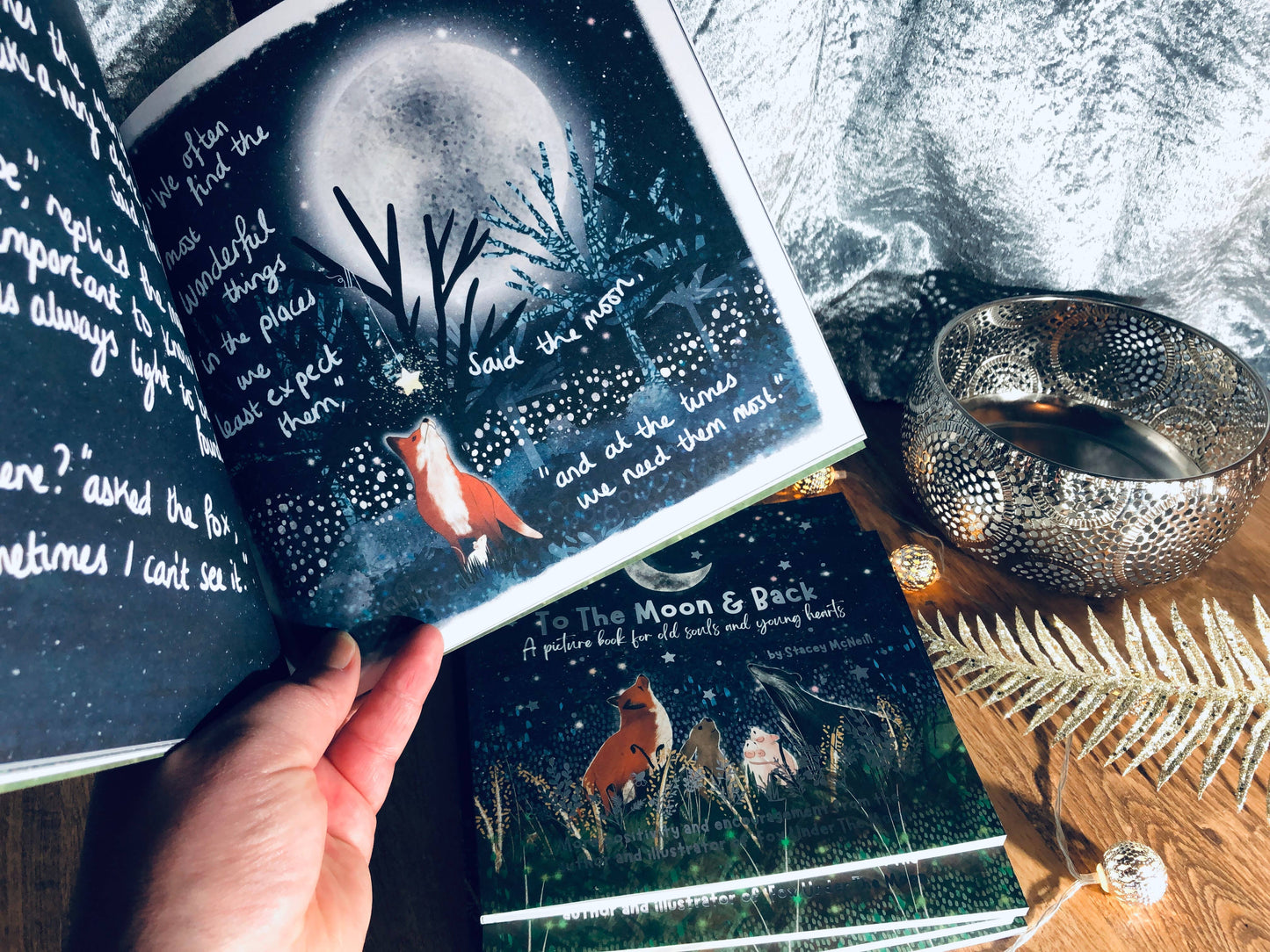 Fox under the Moon - 'To The Moon & Back' from 'Fox Under The Moon' (Book 2)