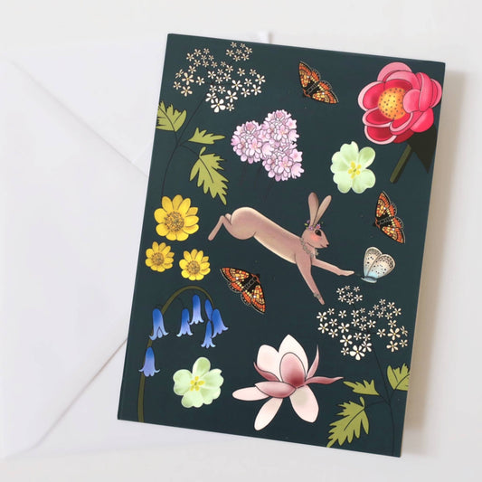 Spring Hare