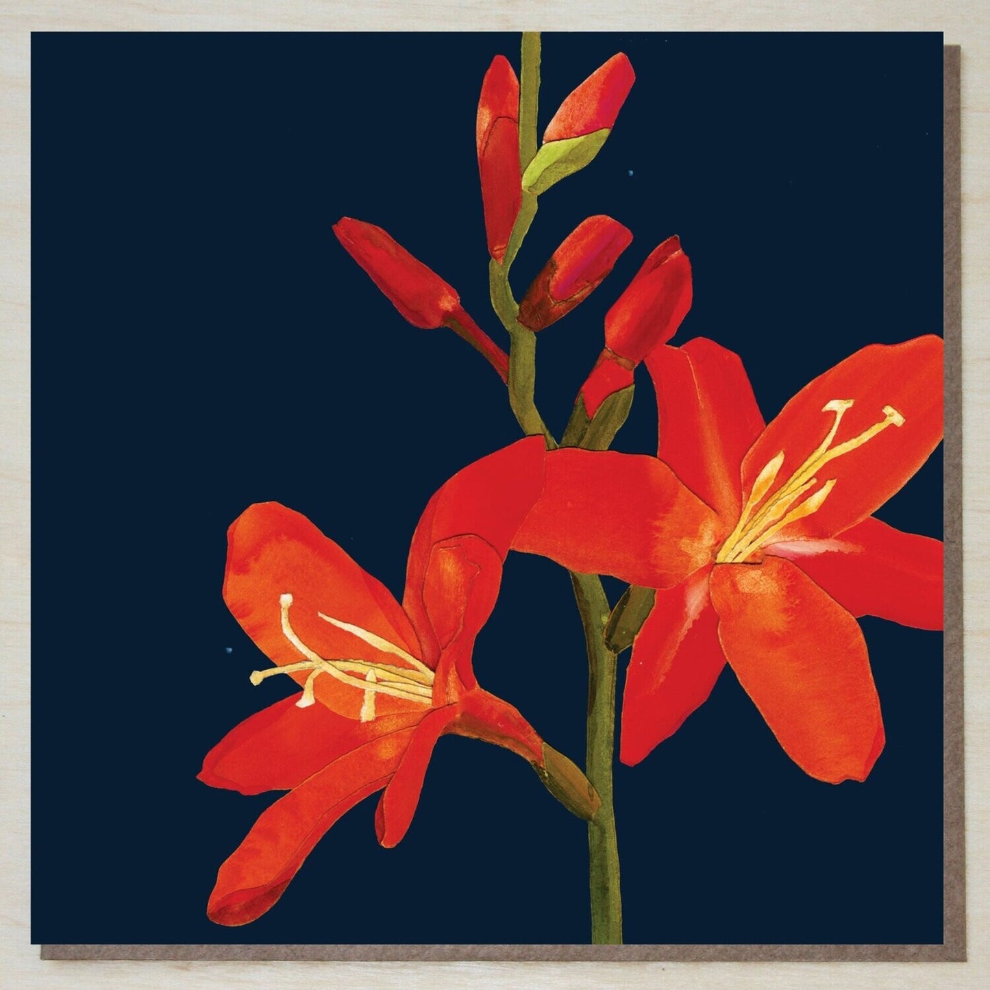 Crocosmia Card