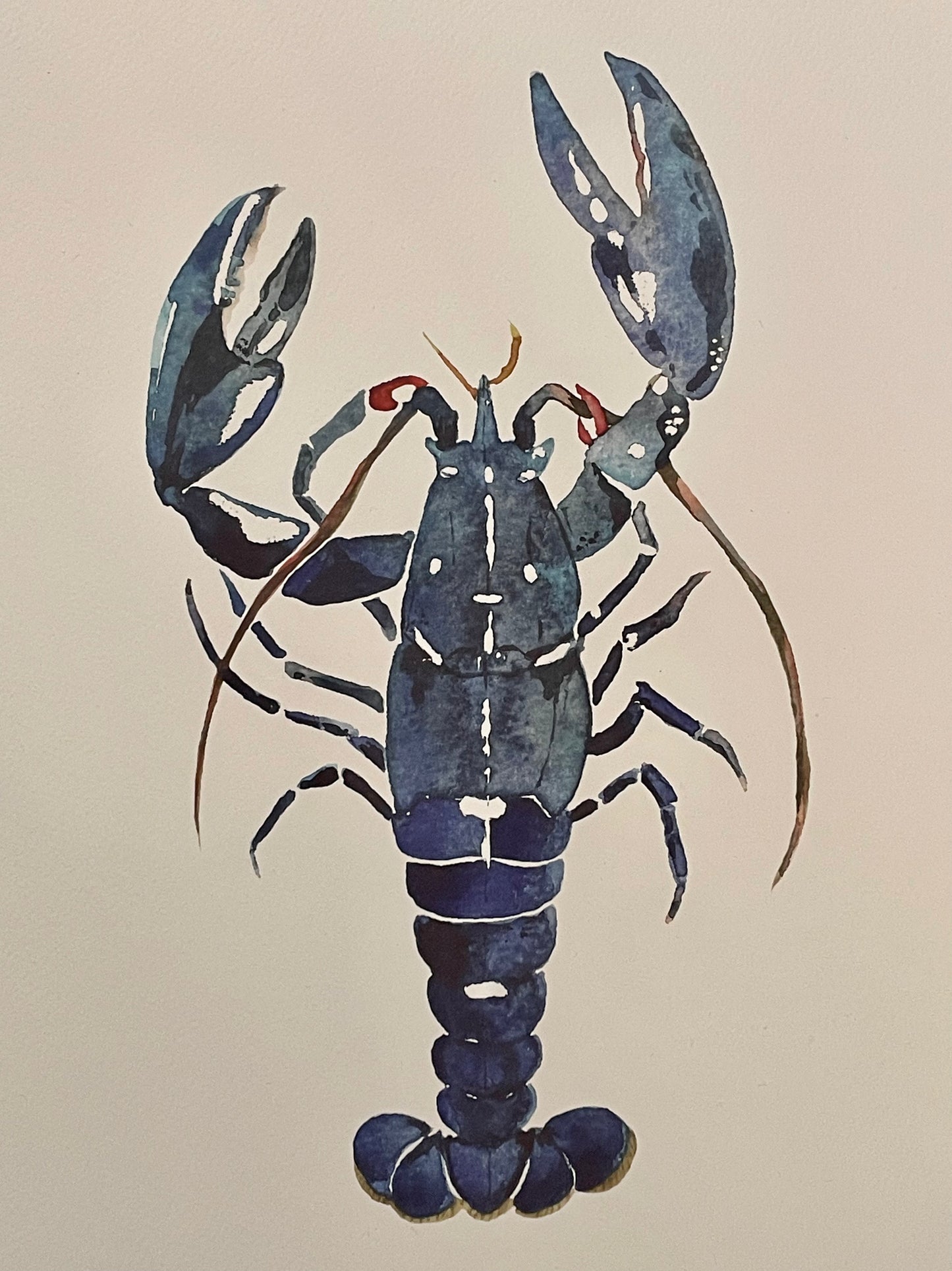 Lobster Watercolour Print A4