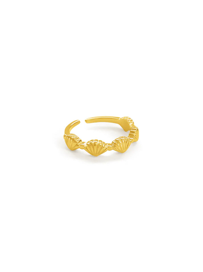 Formation Co. - Scallop Shell Ring