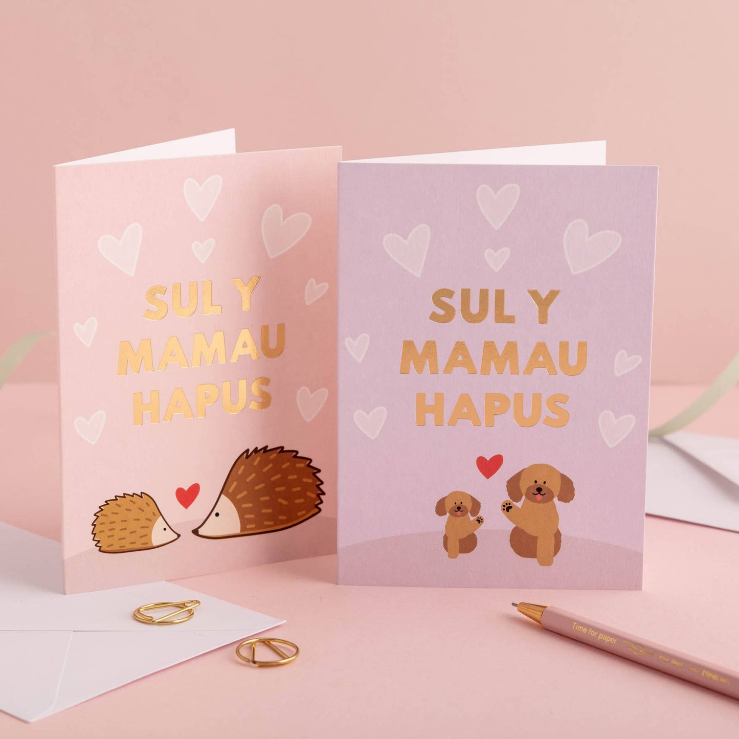 Draenog Welsh Mothers' day card 'Sul y Mamau hapus'