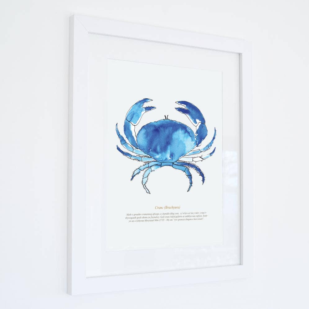 Crab Watercolour Print