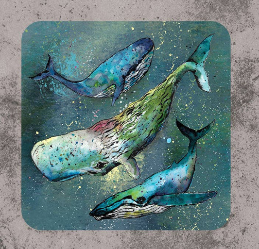 Dollyhotdogs - Whale Coaster