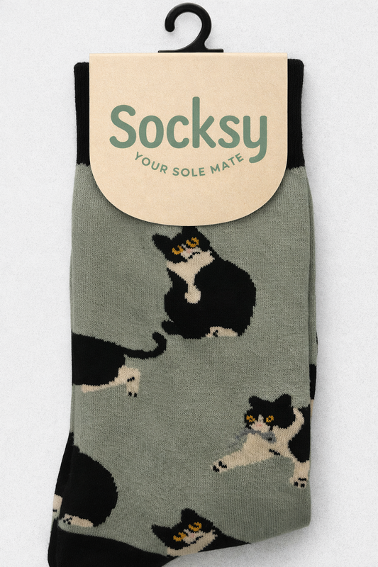 Socksy - Cute Cats Organic Cotton Socks