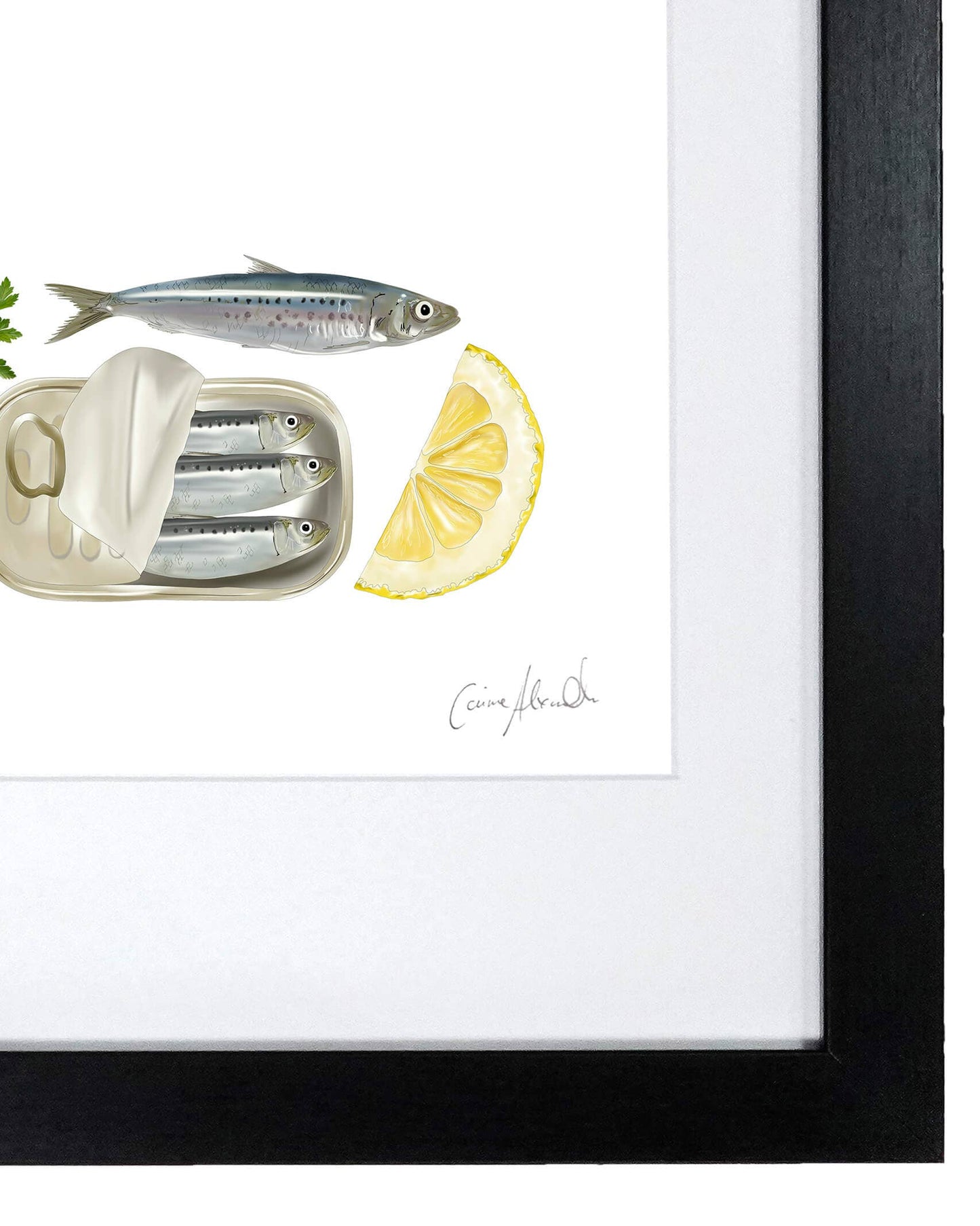 Sardine Print - Framed Limited Edition Print - Seafood
