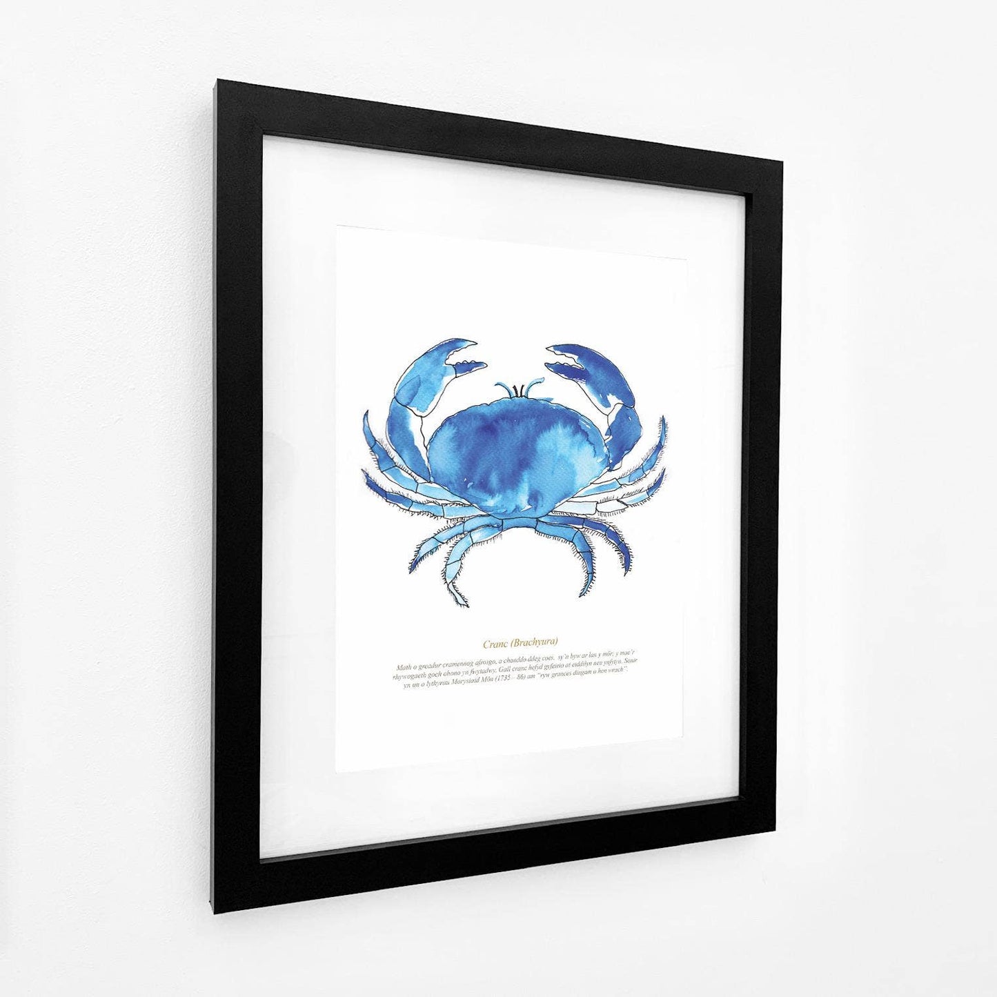 Crab Watercolour Print