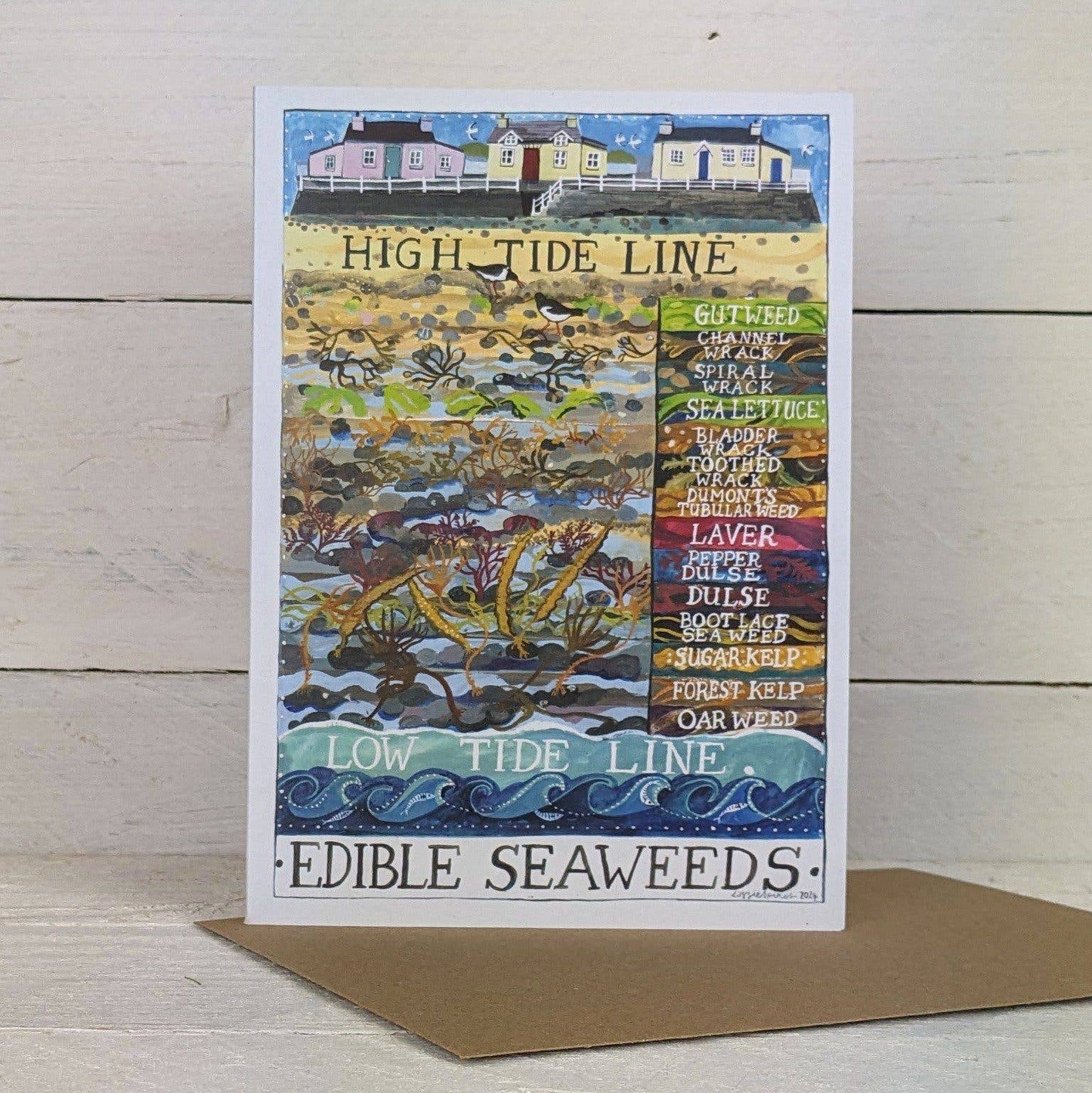 Driftwood Designs - Edible Seaweeds Large Greetings Card