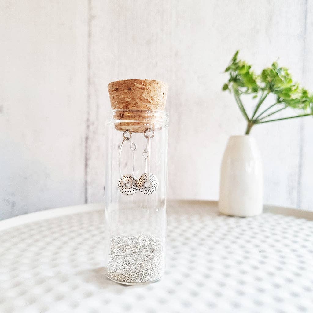 Beach Pebble Earrings in a Bottle