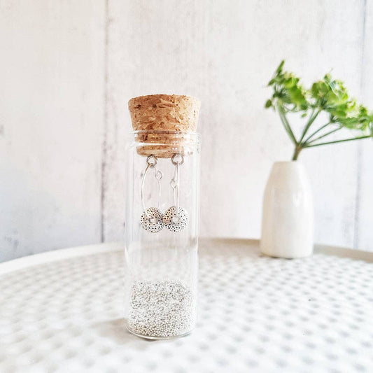 Beach Pebble Earrings in a Bottle