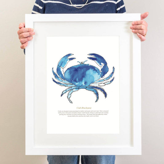 Crab Watercolour Print