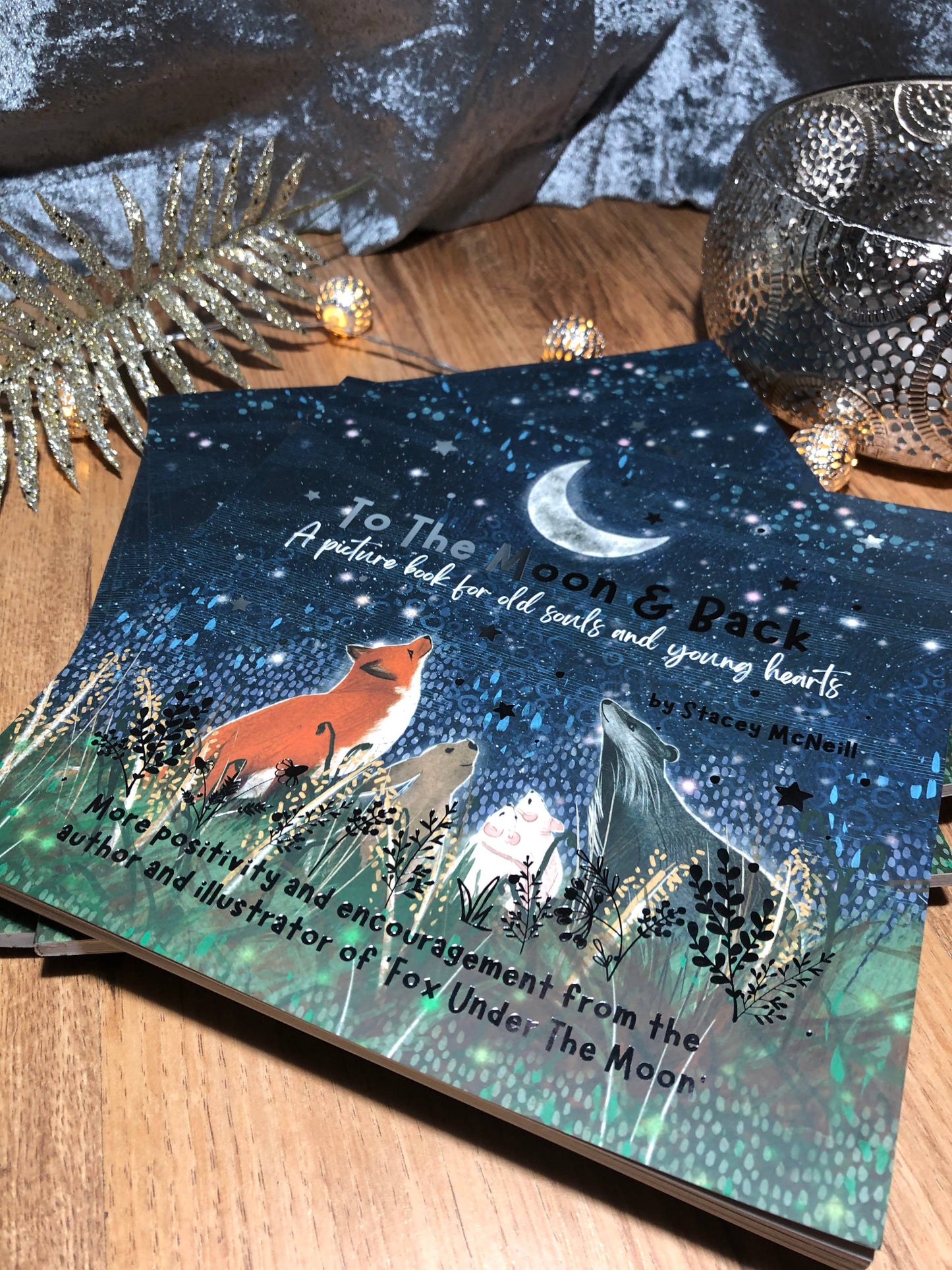 Fox under the Moon - 'To The Moon & Back' from 'Fox Under The Moon' (Book 2)