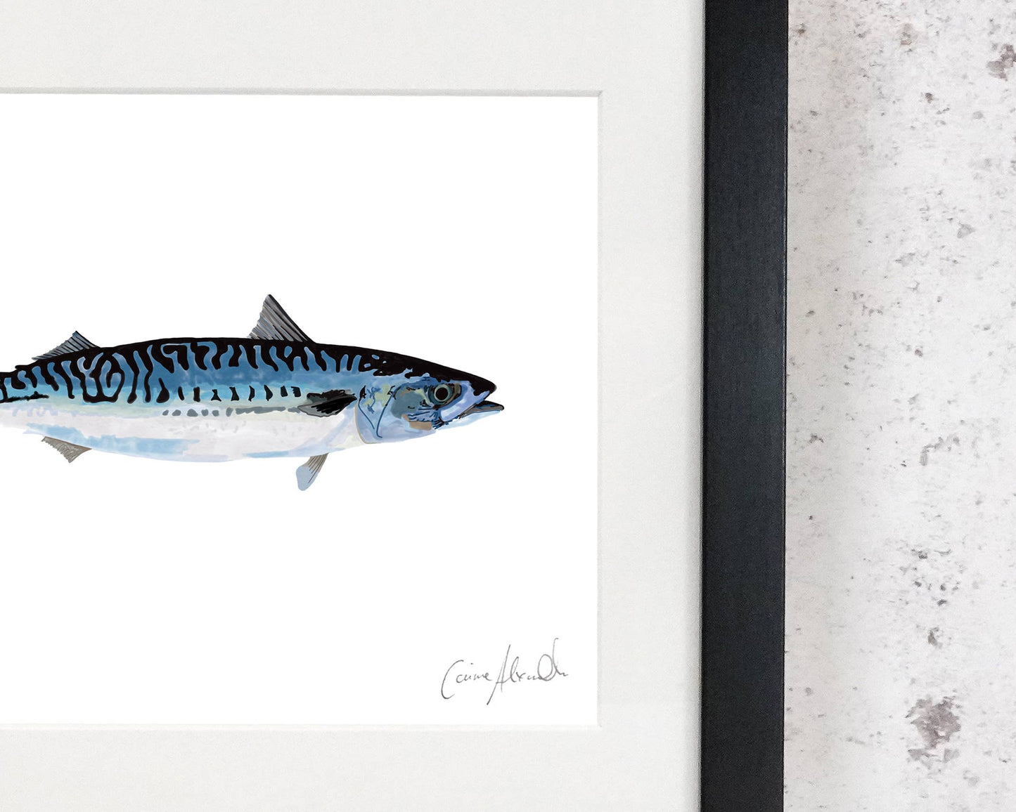 Mackerel Illustration - Framed Print - Bathroom/Kitchen Art