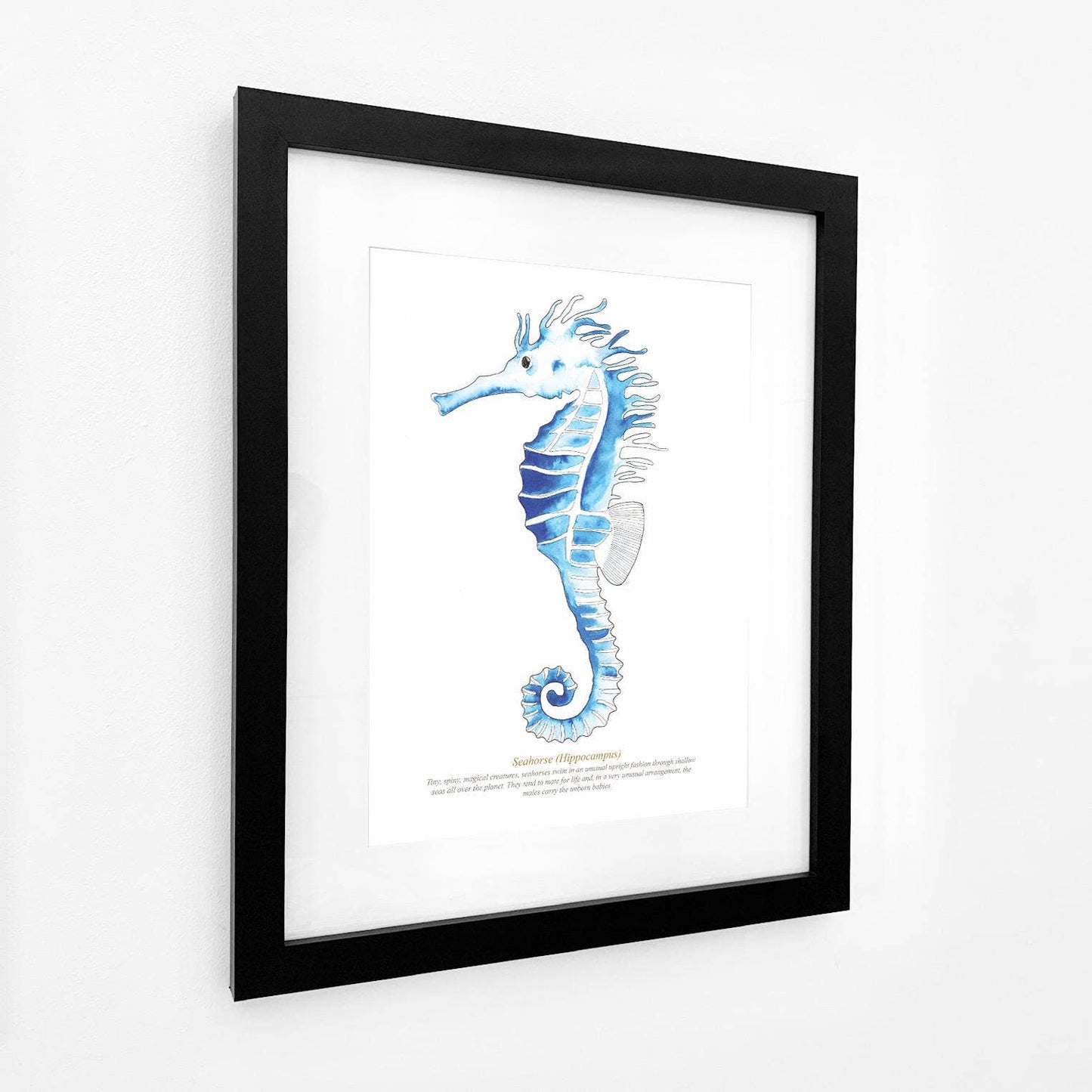 Seahorse Watercolour Print