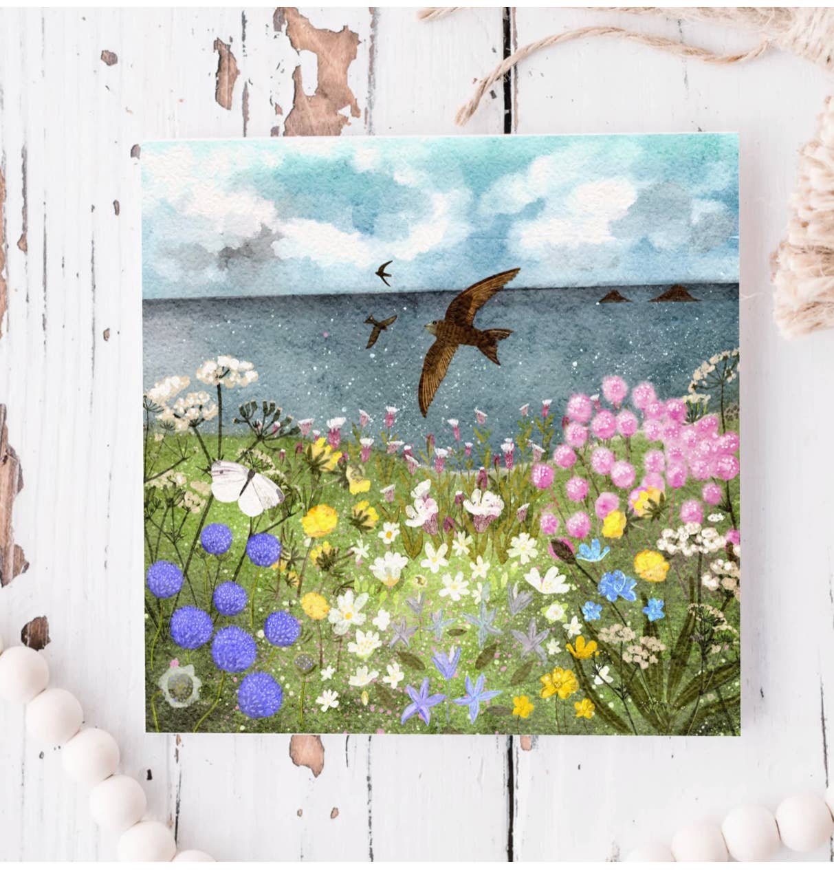 Swifts