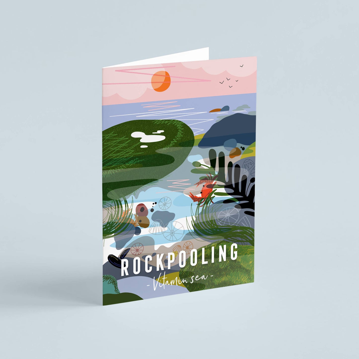 Onneke -  Rockpooling Coastal card seaside greeting card