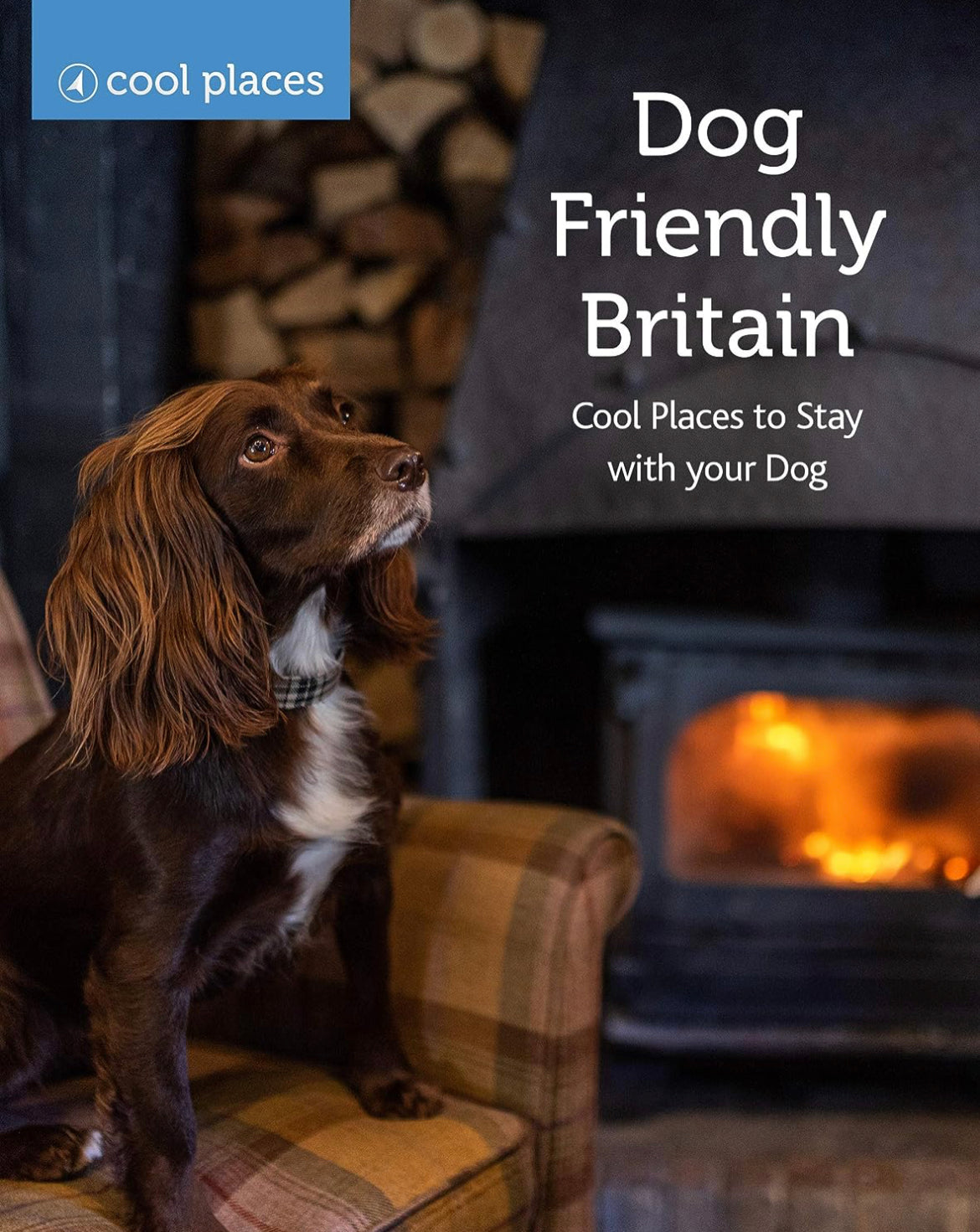 Dog Friendly Britain