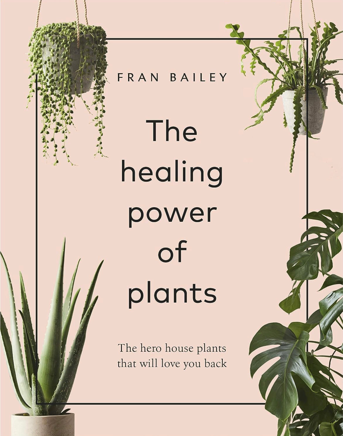 The healing power of plants