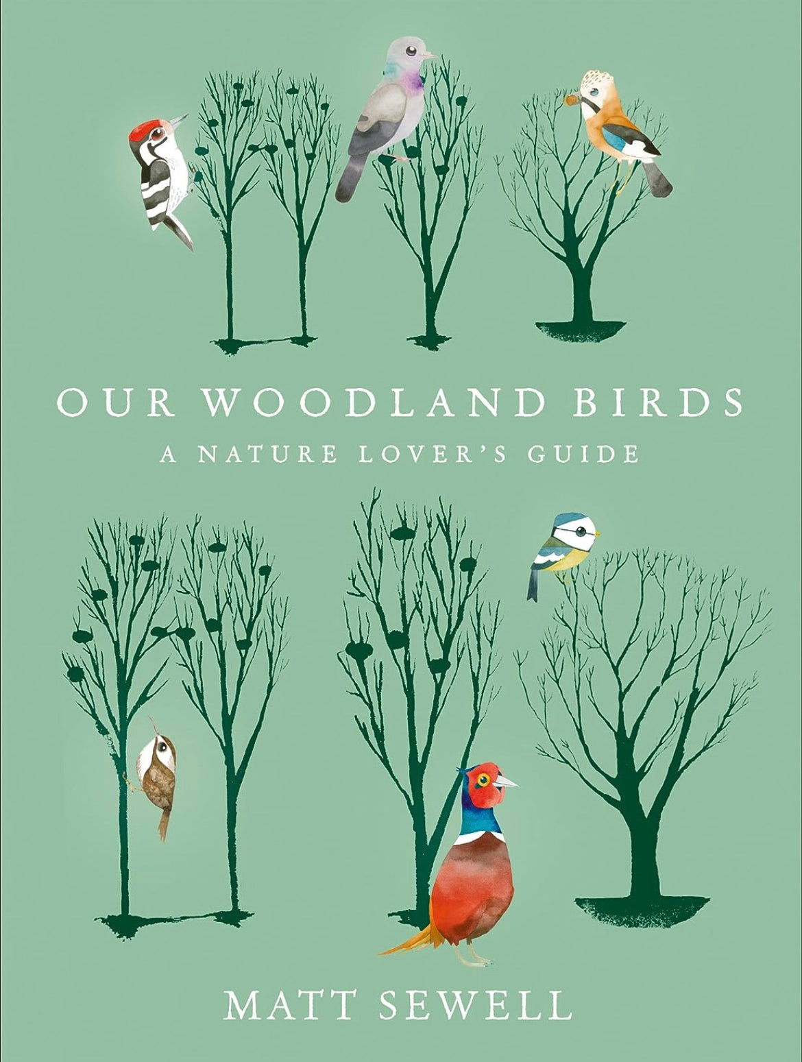 Our woodland birds