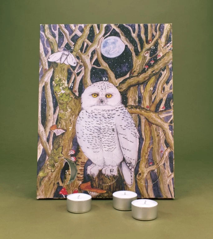12-Day Owl Christmas Advent Calendar