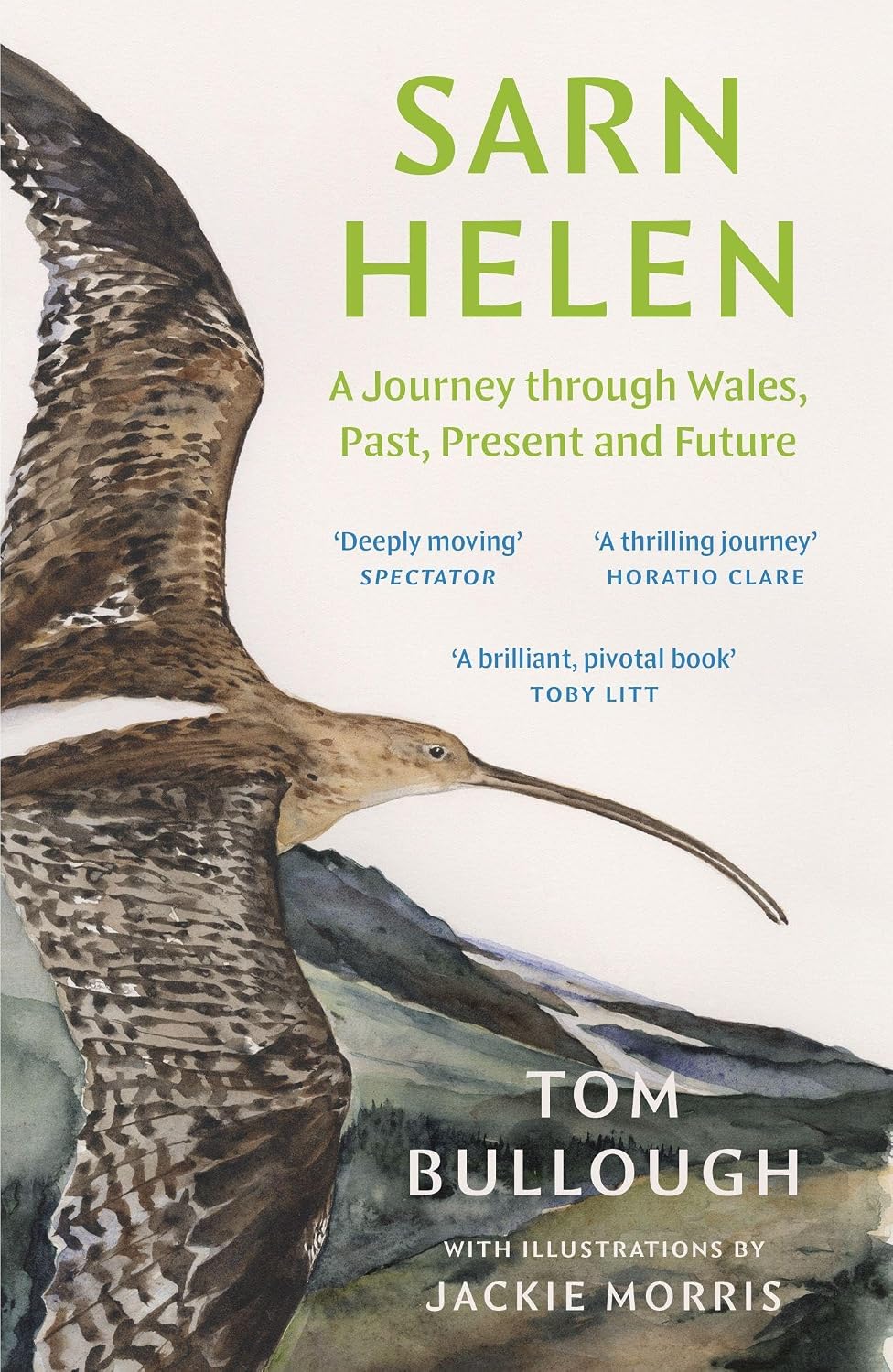 Sarn Helen: A Journey Through Wales, Past, Present and Future