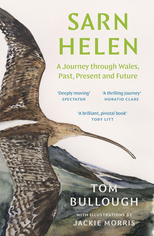Sarn Helen: A Journey Through Wales, Past, Present and Future