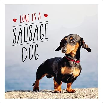 Love is a Sausage Dog: A Pup-Tastic Celebration of Dachshunds - The World's Cutest Dogs