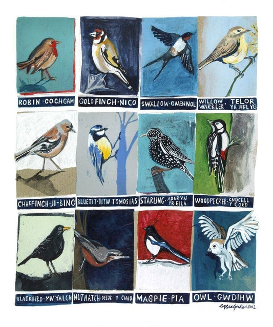 Birds Poster Print