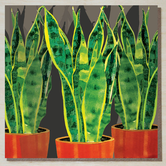 Sansevieria Card (plant cards)