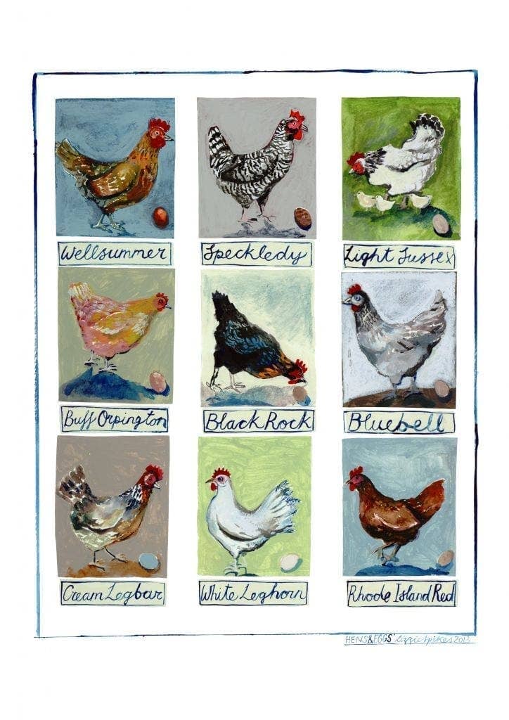 Driftwood Designs - Chickens Large Greetings Card