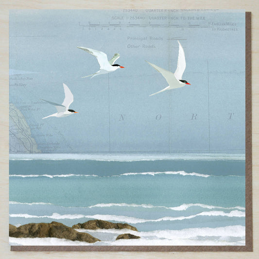 'Sea Swallows' (coastal/seaside card)