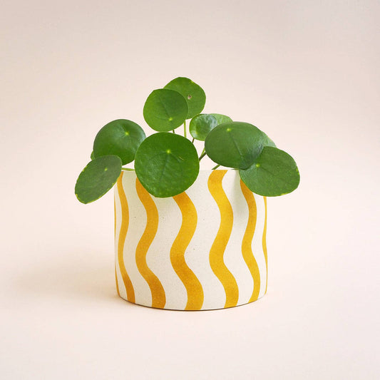 Hello Marilu Large Stripes or Squiggles Jesmonite Pot: Mint / Squiggles