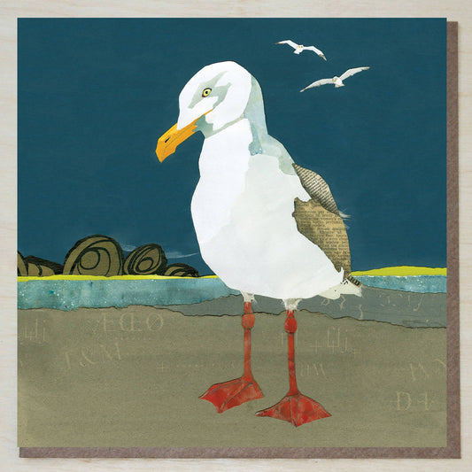 Herring Gull card (British Birds)