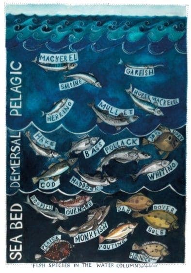 Driftwood Designs - Fish in the Water Column Large Greetings Card