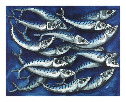 Driftwood Designs - Mackerel Square Greetings Card