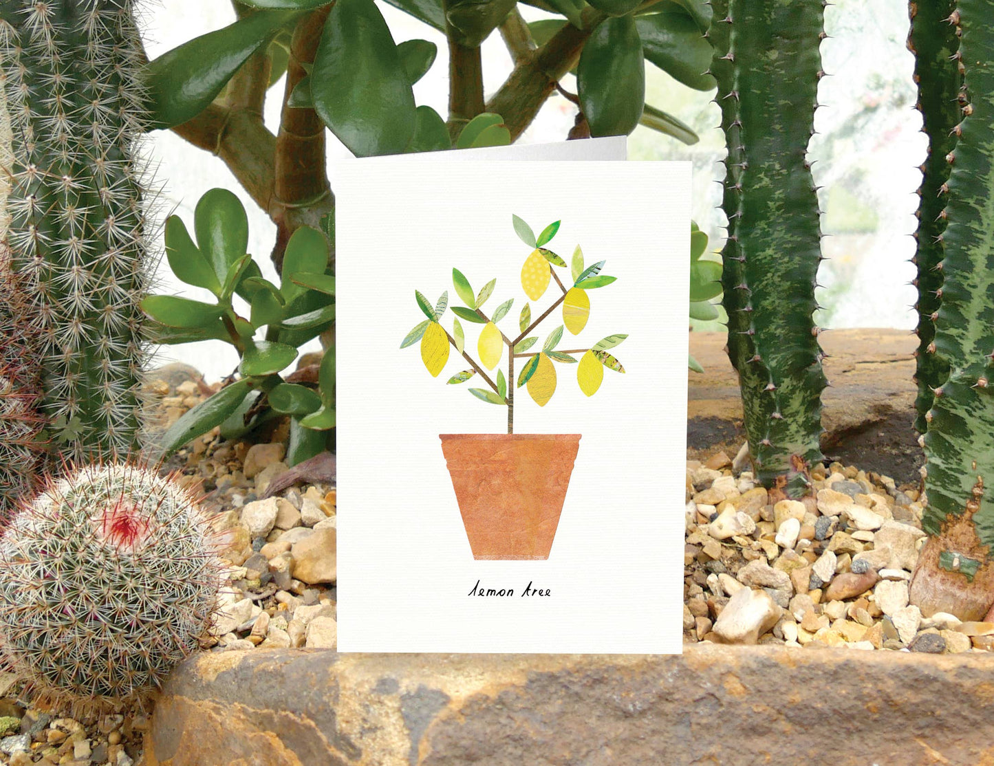 Lemon Tree Card