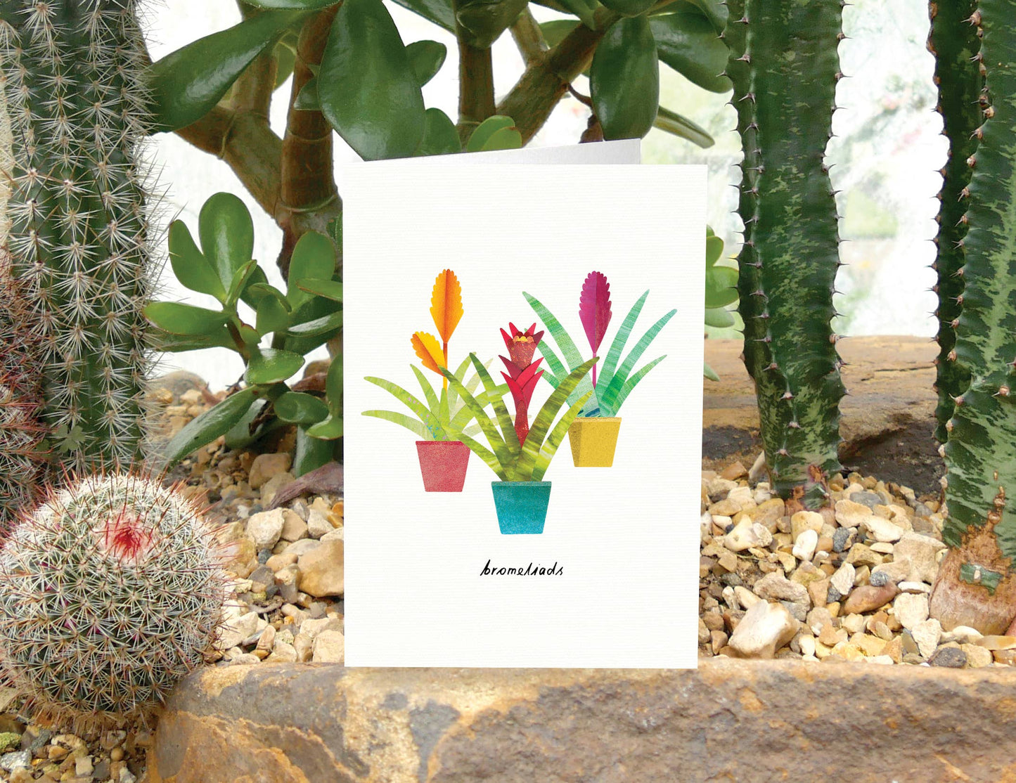 Bromeliads Card